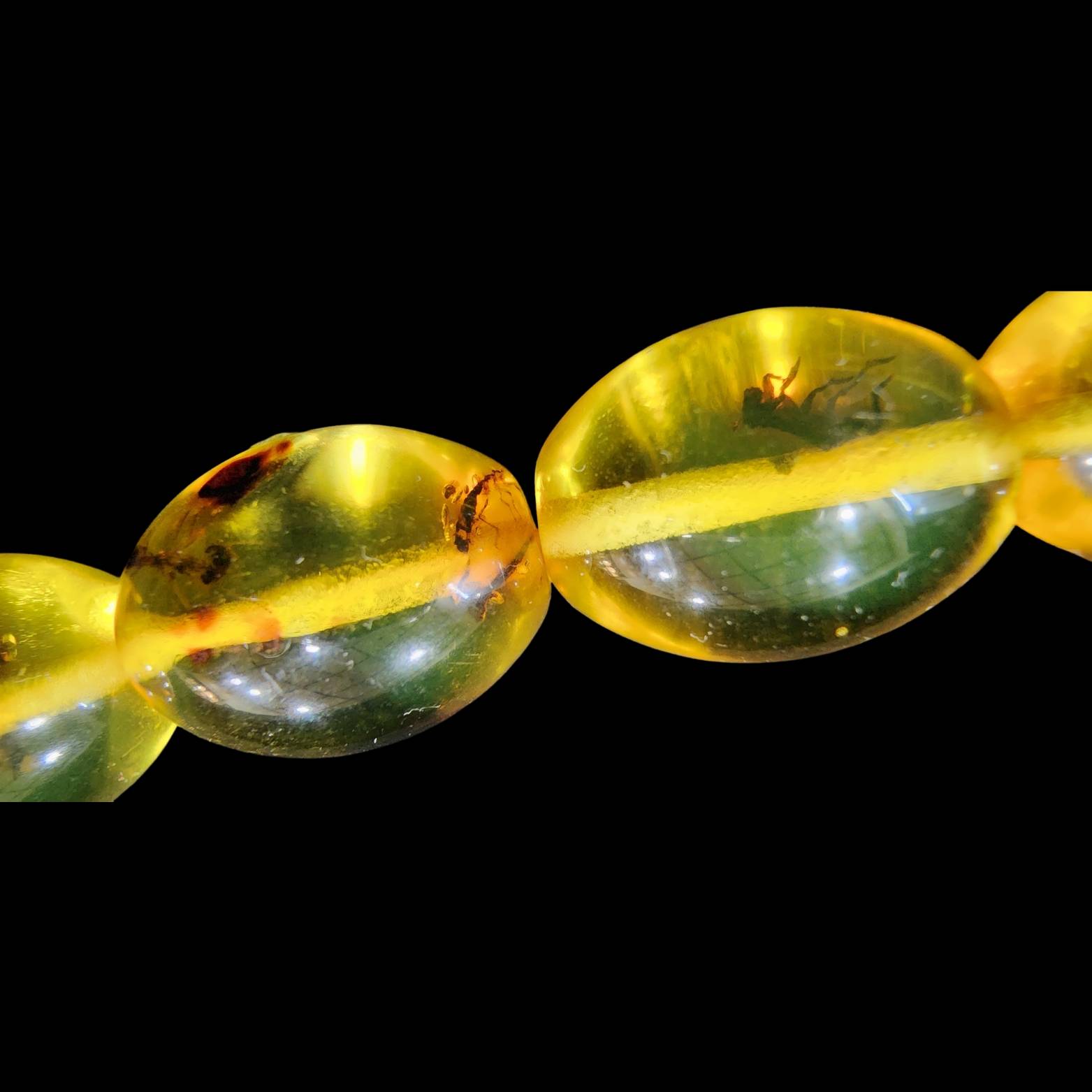 Insect Natural Amber Beads